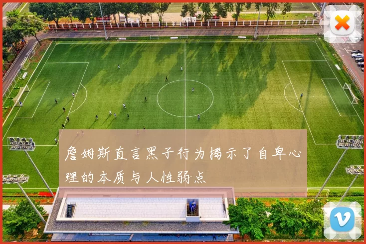 詹姆斯直言黑子行为揭示了自卑心理的本质与人性弱点