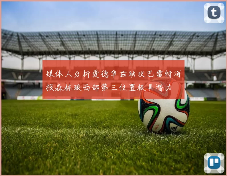 媒体人分析爱德华兹助攻巴雷特海报森林狼西部第三位置极具潜力