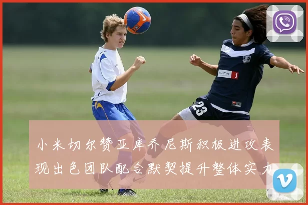 小米切尔赞亚库乔尼斯积极进攻表现出色团队配合默契提升整体实力