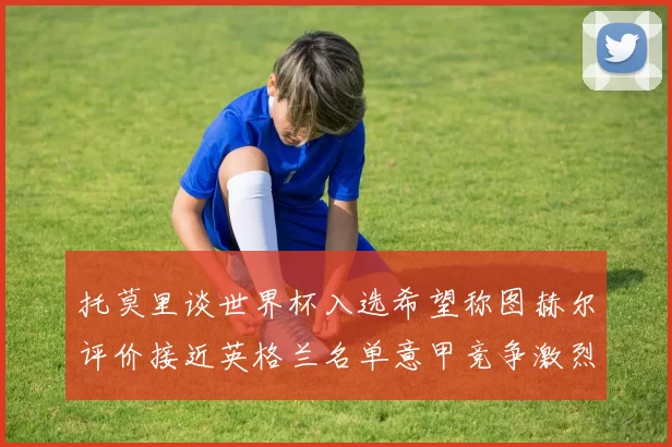 托莫里谈世界杯入选希望称图赫尔评价接近英格兰名单意甲竞争激烈